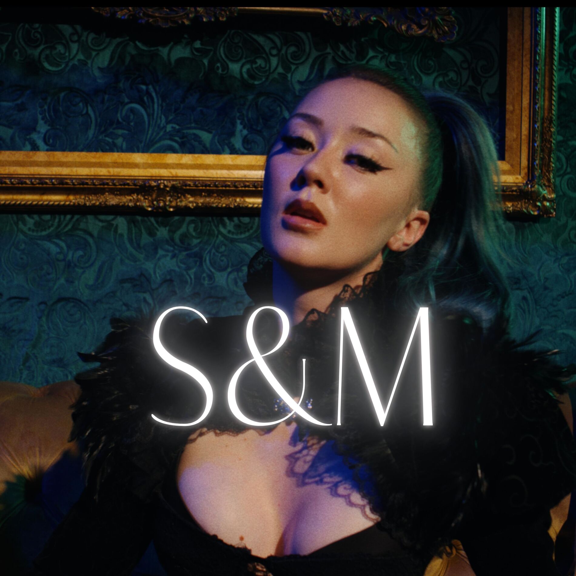 Album cover of S&M