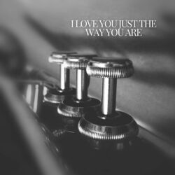 Cover of I Love You Just The Way You Are