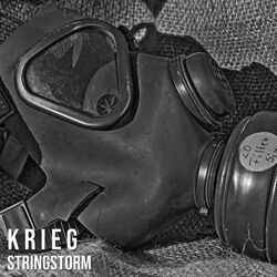 Cover of Krieg