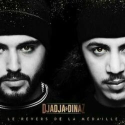 Cover of Le revers de la médaille