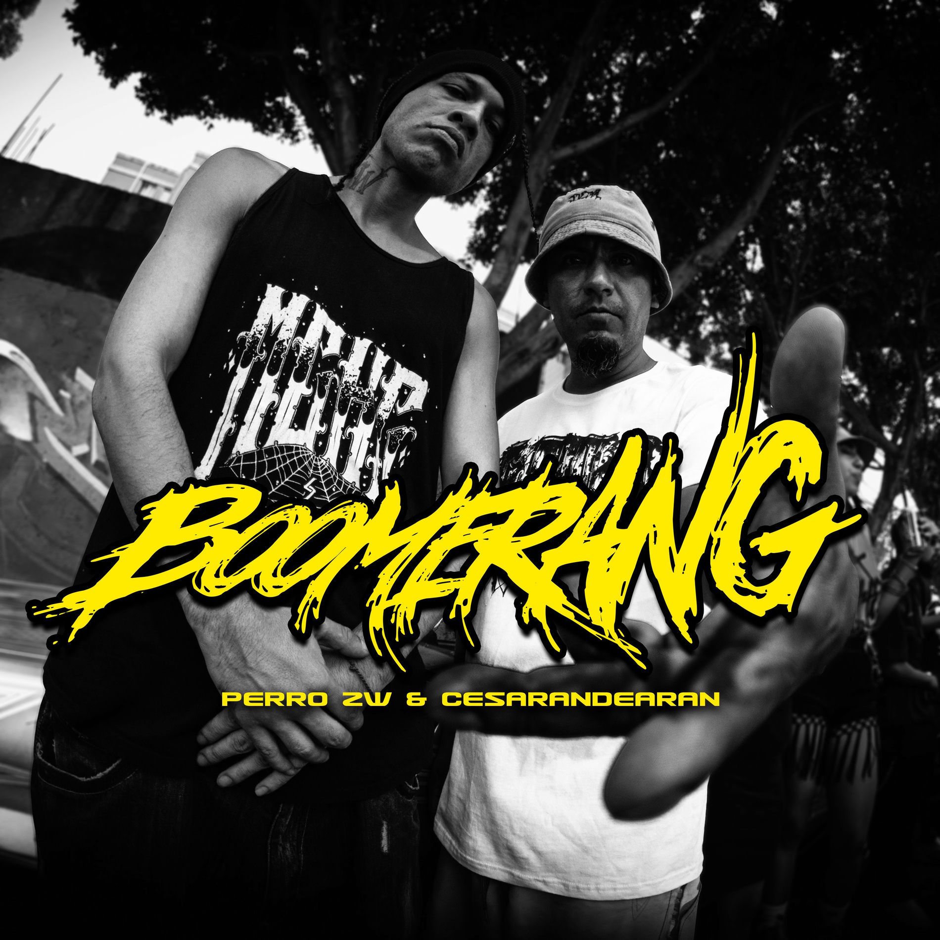 Album cover of Boomerang