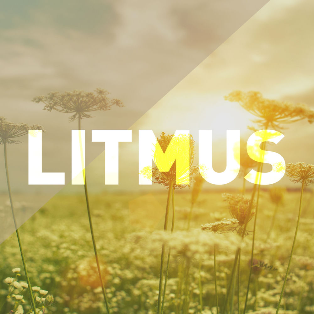 Album artwork for Fresh by Litmus