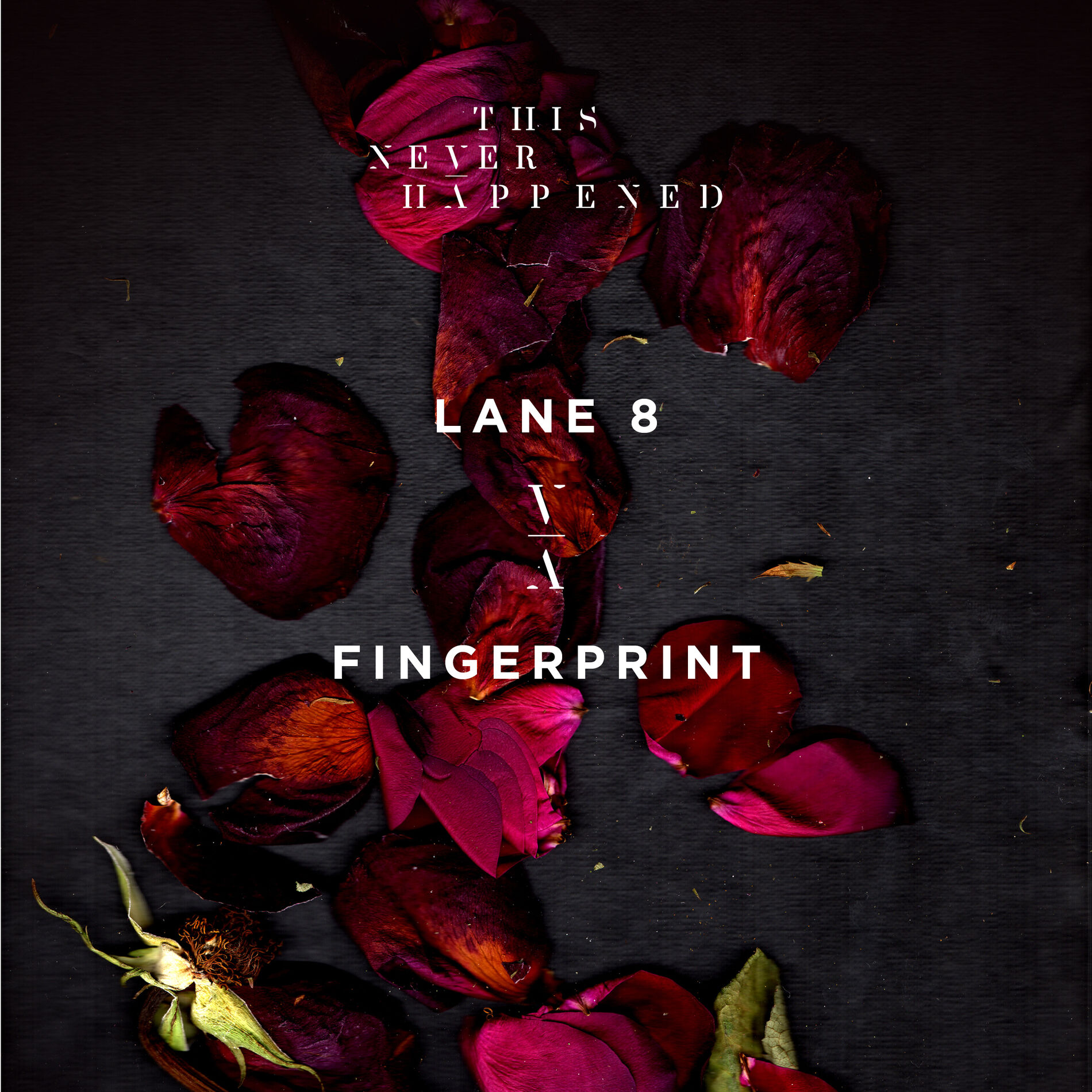 Album cover of Fingerprint