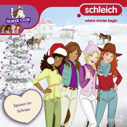 Cover of Folge 22: Spuren im Schnee
