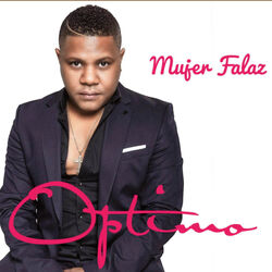 Cover of Mujer Falaz