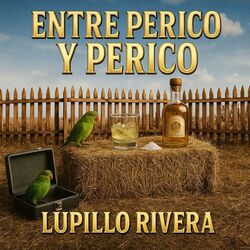 music cover