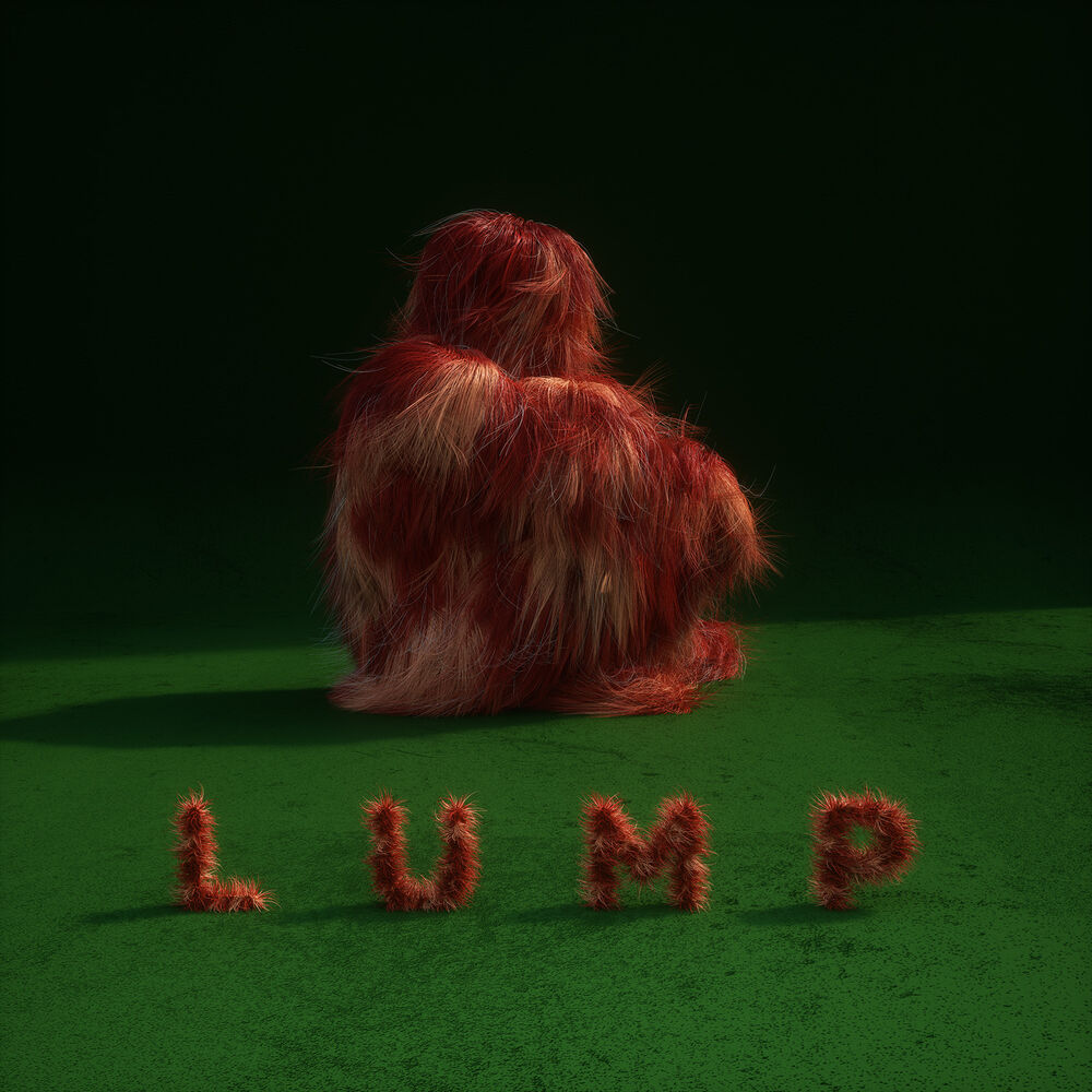 Picture of LUMP