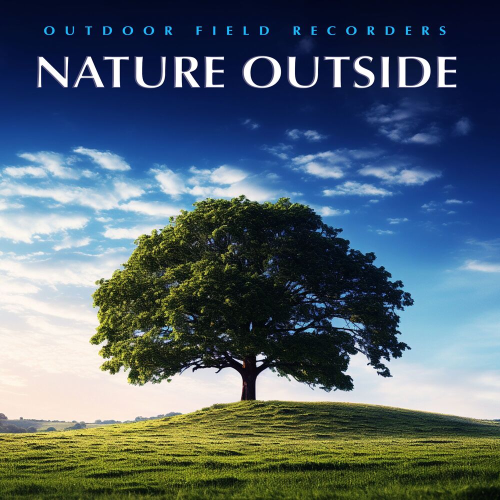 Picture of Nature Outside