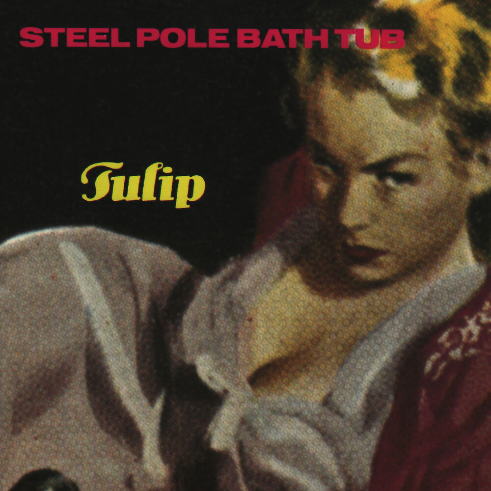 Picture of Tulip