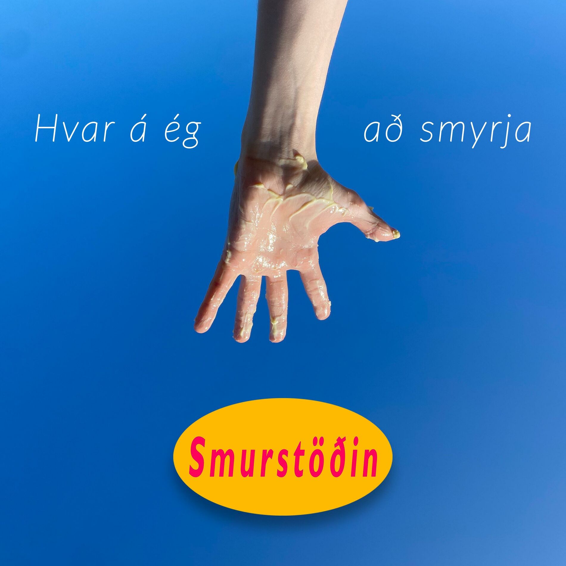 Album cover of Hvar á ég að smyrja