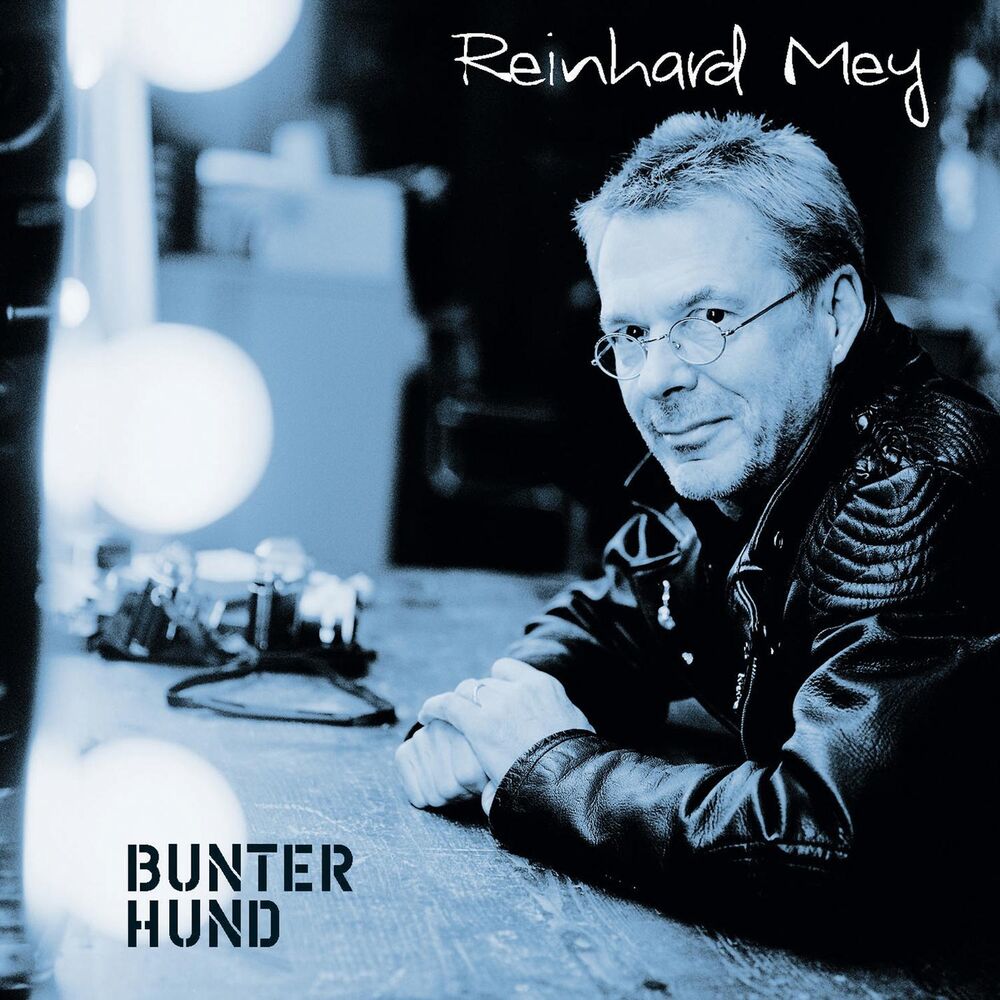 Picture of Bunter Hund