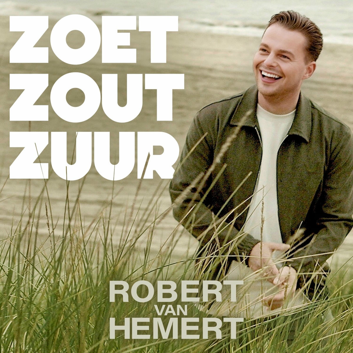 Album cover of Zoet, Zout, Zuur