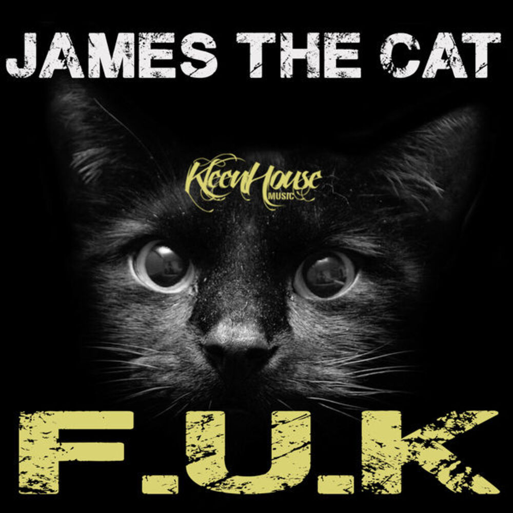 Picture of F.U.K. (Original Mix)