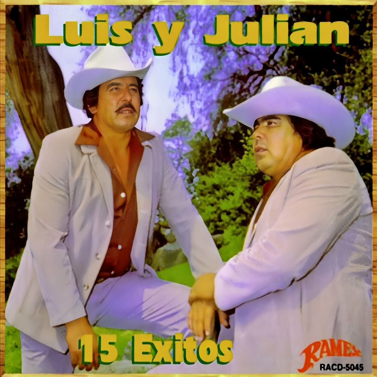 Album cover of 15 Exitos De Luis y Julián