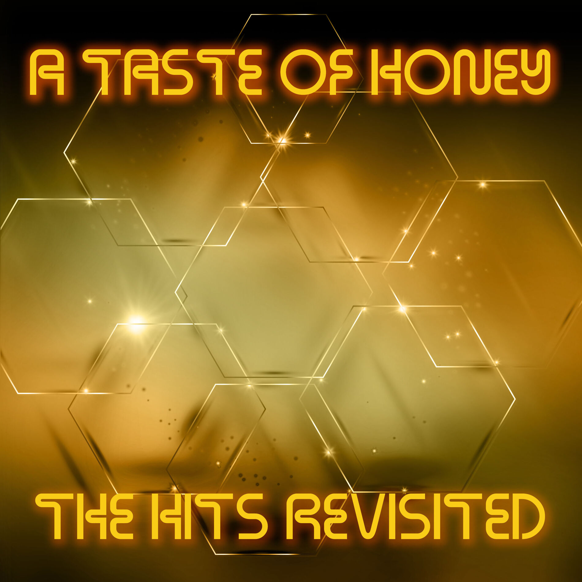 Album cover of The Hits Revisited