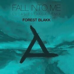 Cover of Fall Into Me (Lucas Estrada Remix)