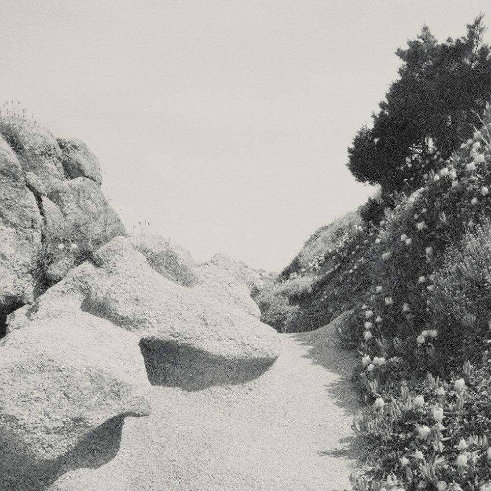 Picture of Mild Western EP