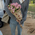 florecicas