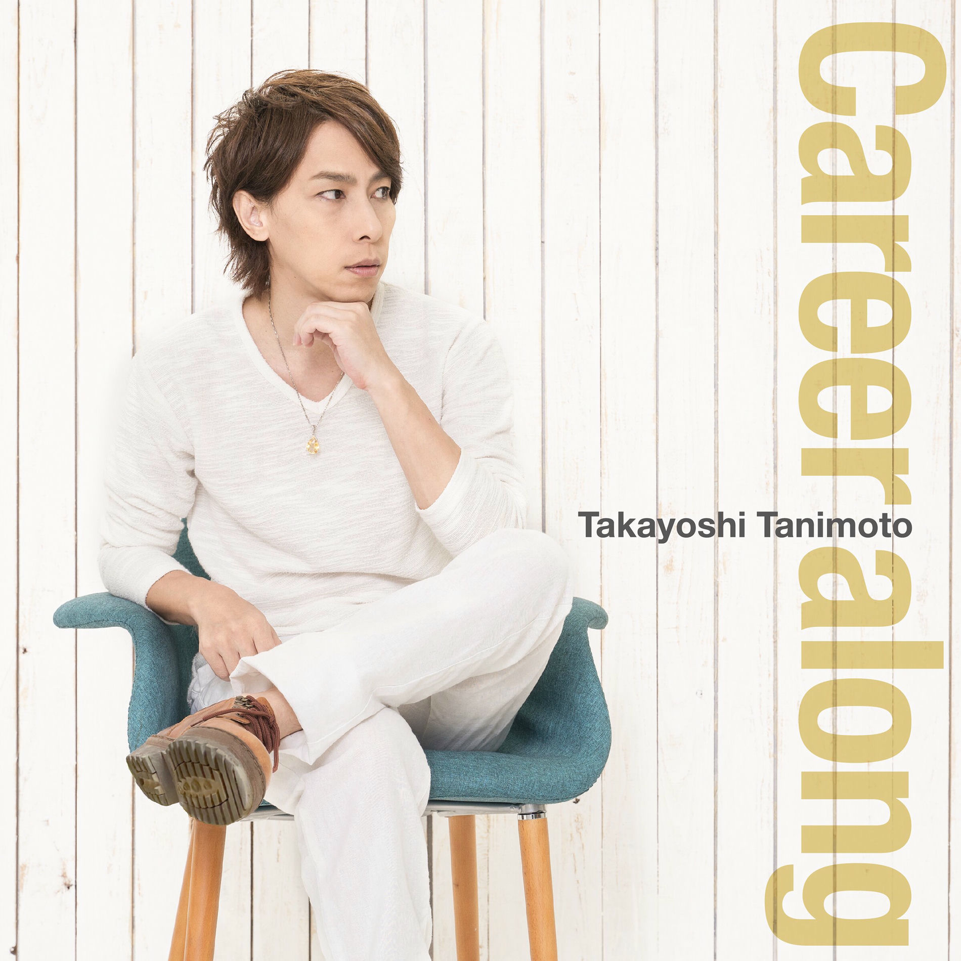 Album cover of Career Along