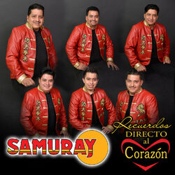 Cover of Recuerdos Directo al Corazón