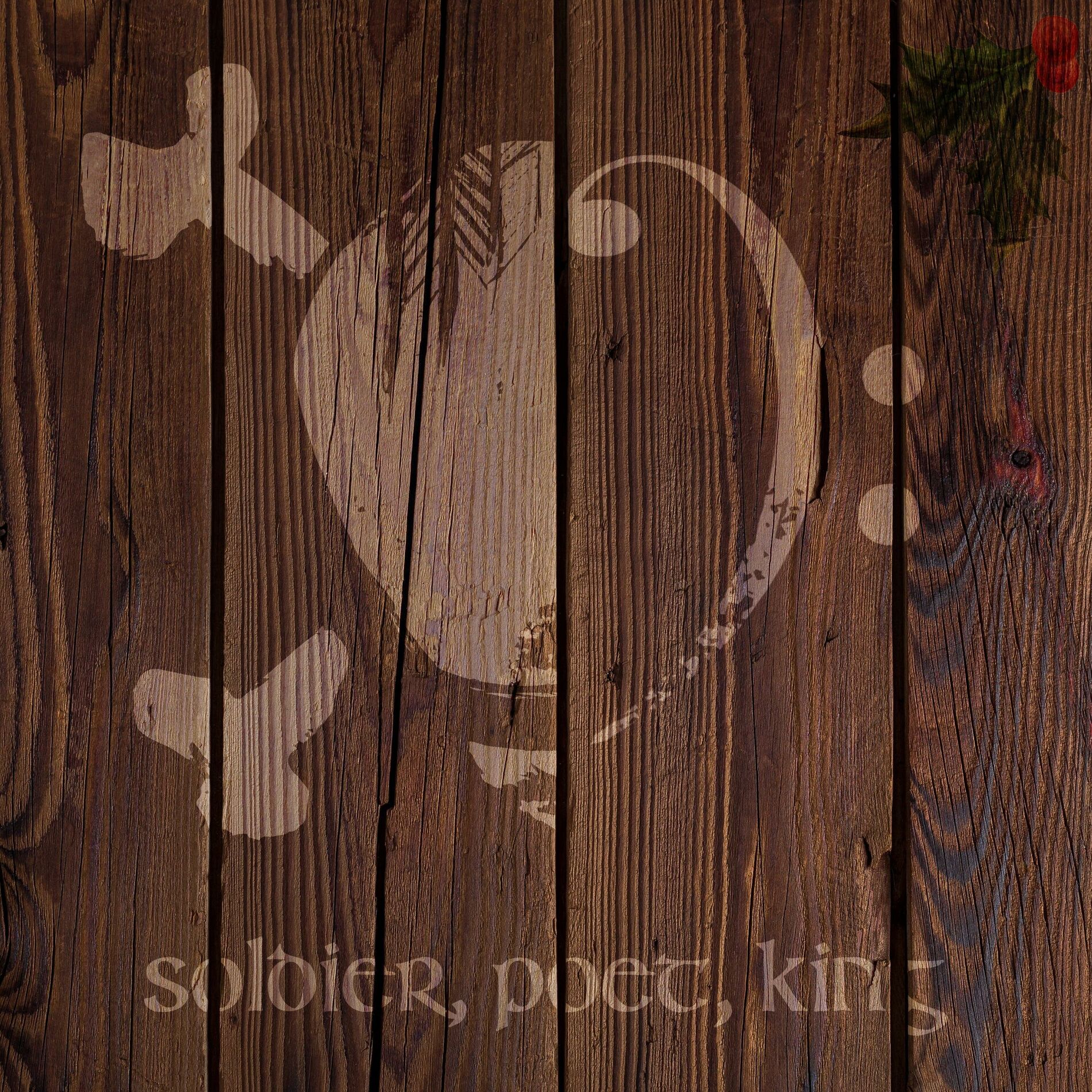 Album cover of Soldier, Poet, King (feat. Sail North)