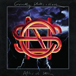 Cover of After the Storm