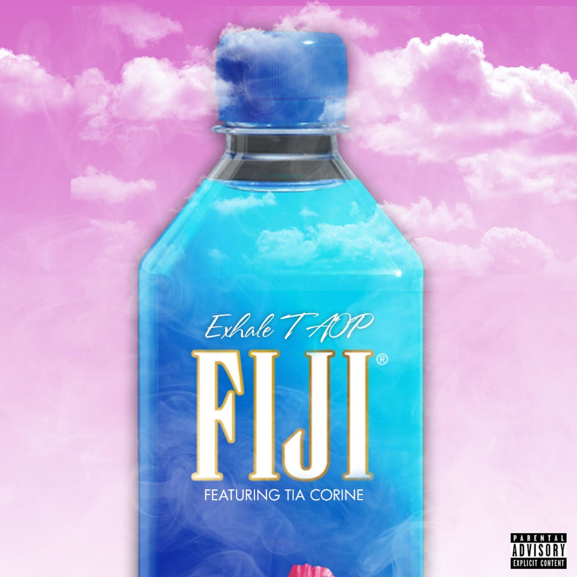 Album cover of Fiji (feat. TiaCorine)