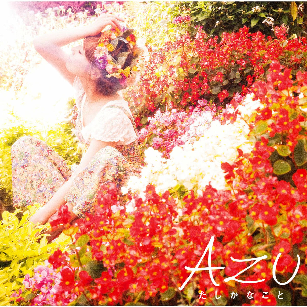 Album cover of Tashikanakoto