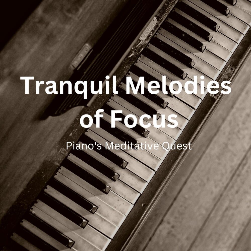 Picture of Tranquil Melodies of Focus: Piano's Meditative Quest