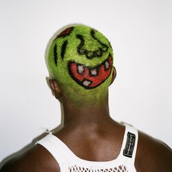 Cover of Back Up