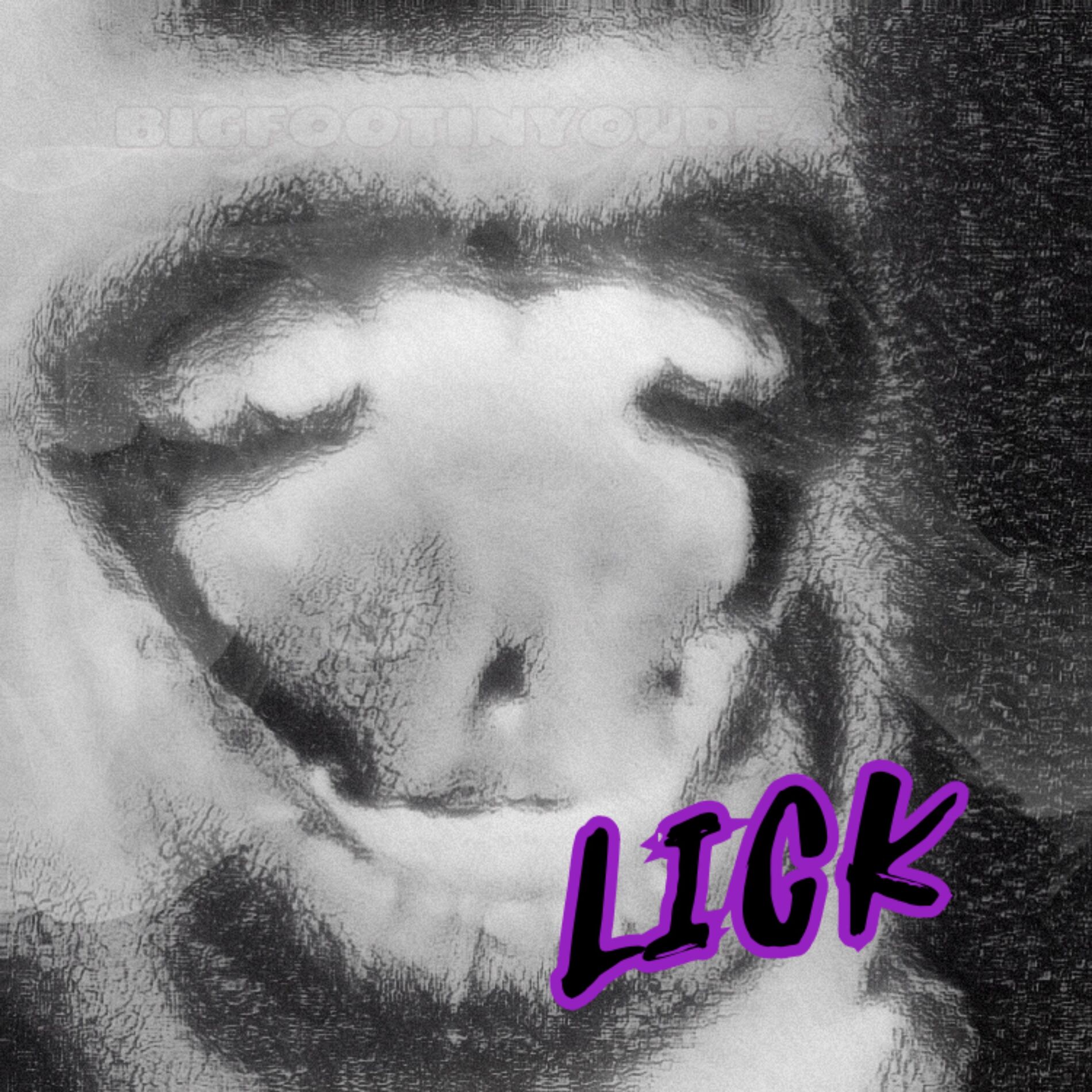 Album cover of Lick