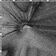 Lobotomy