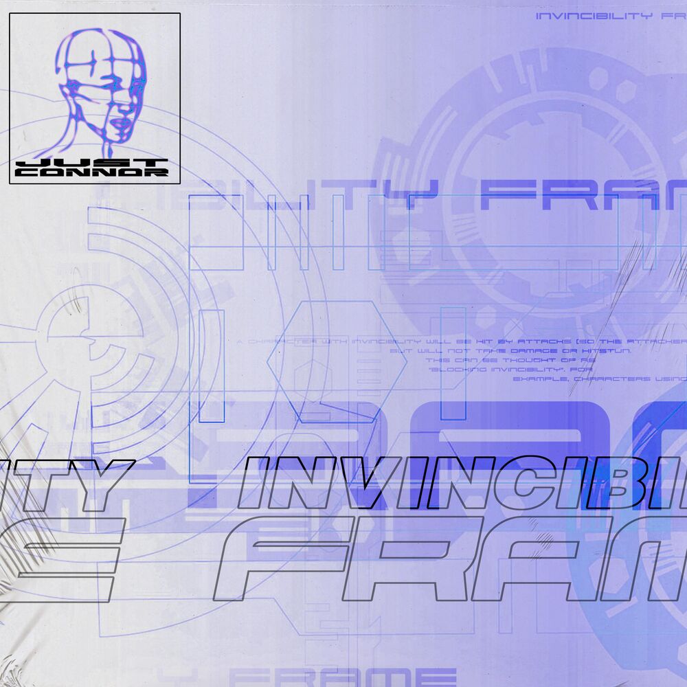 Picture of Invincibility Frame