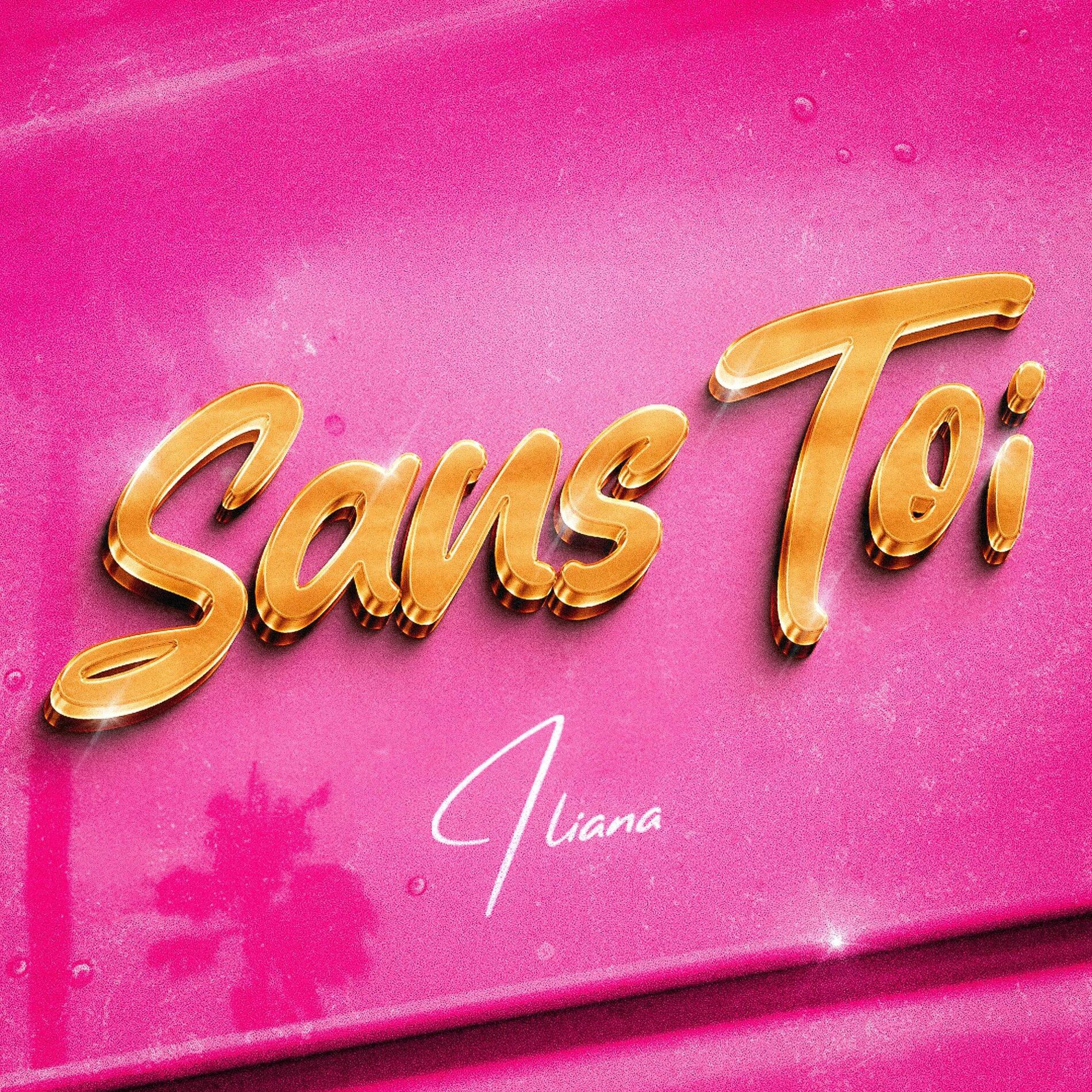 Album cover of Sans toi