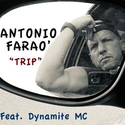 Cover of Trip
