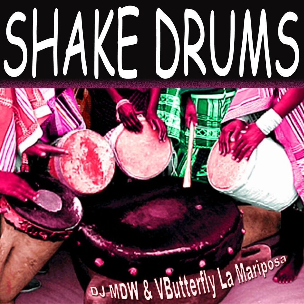 Picture of Shake Drums