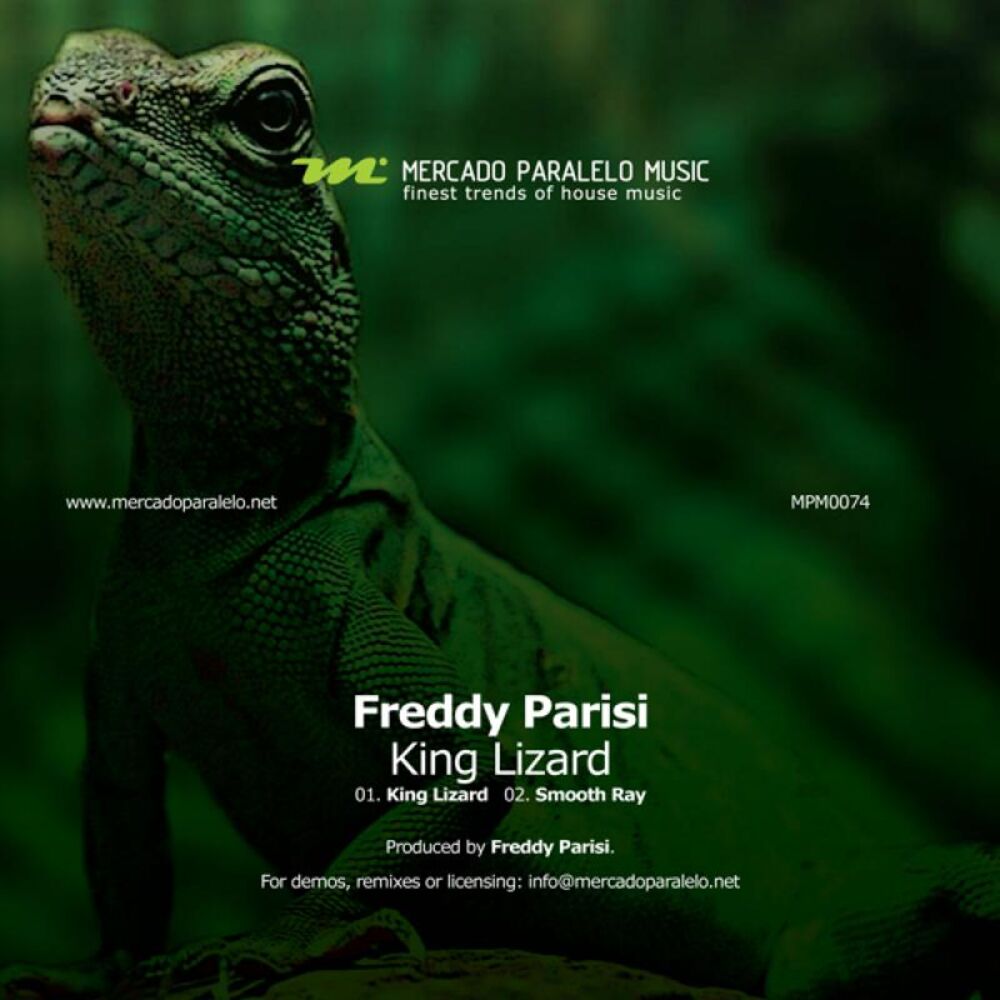 Picture of King Lizard
