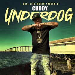 Cover of Underdog