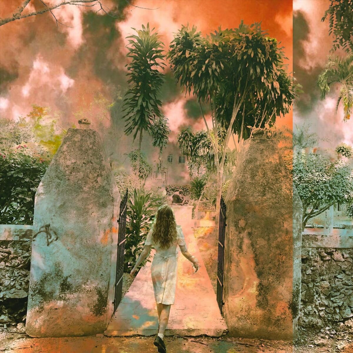 Album cover of Strange Paradise