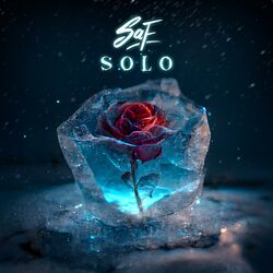 Cover of S O L O
