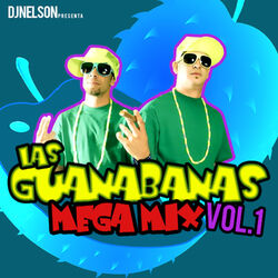 Cover of Las Guanabanas Mega Mix, Vol. 1