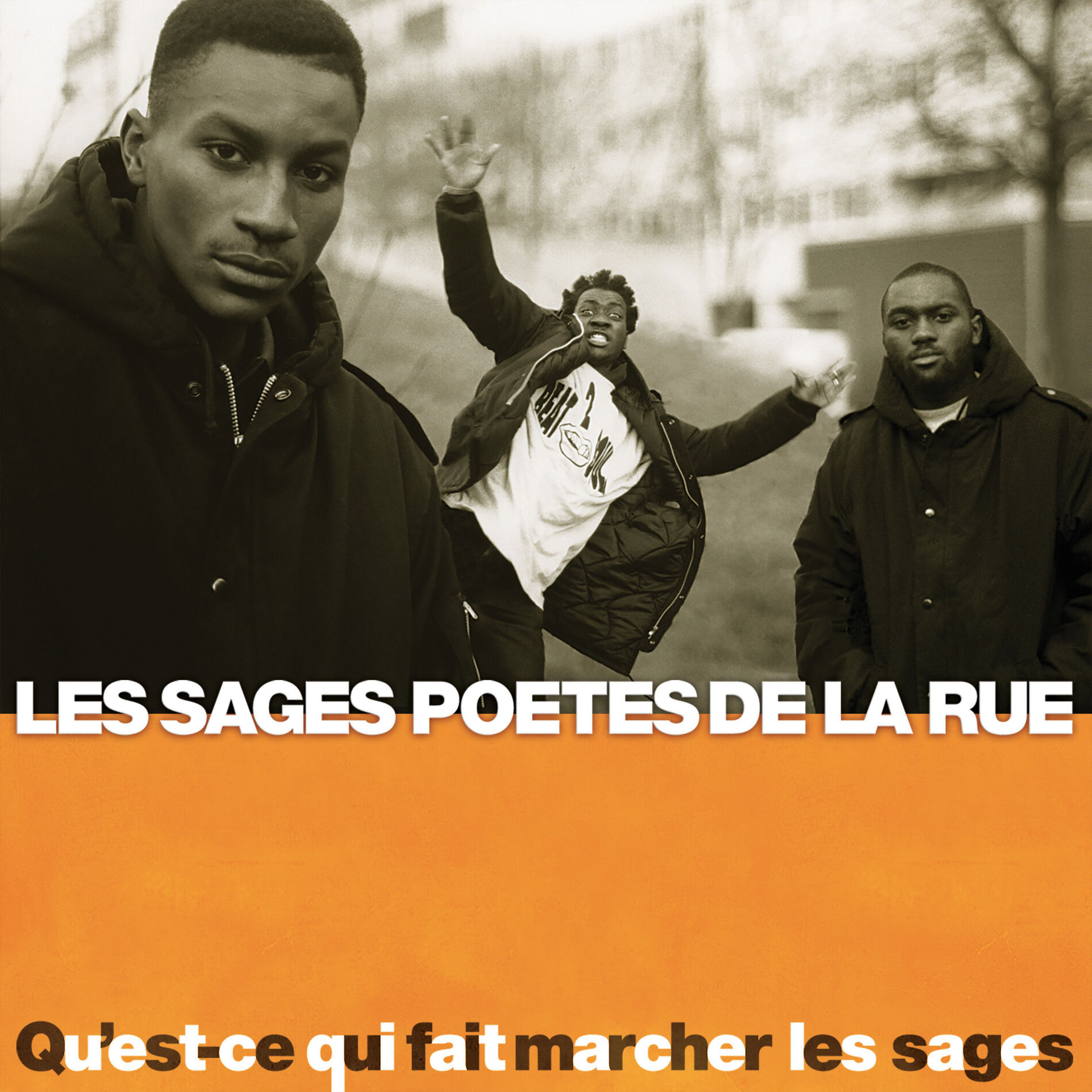 Album cover of Qu'est-ce qui fait marcher les sages ?