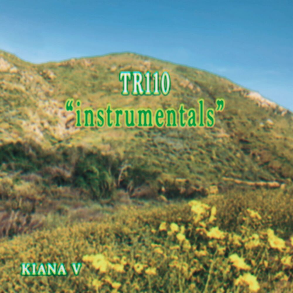 Picture of Instrumentals
