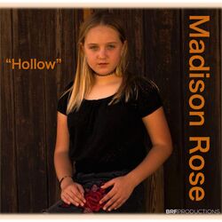 Cover of Hollow