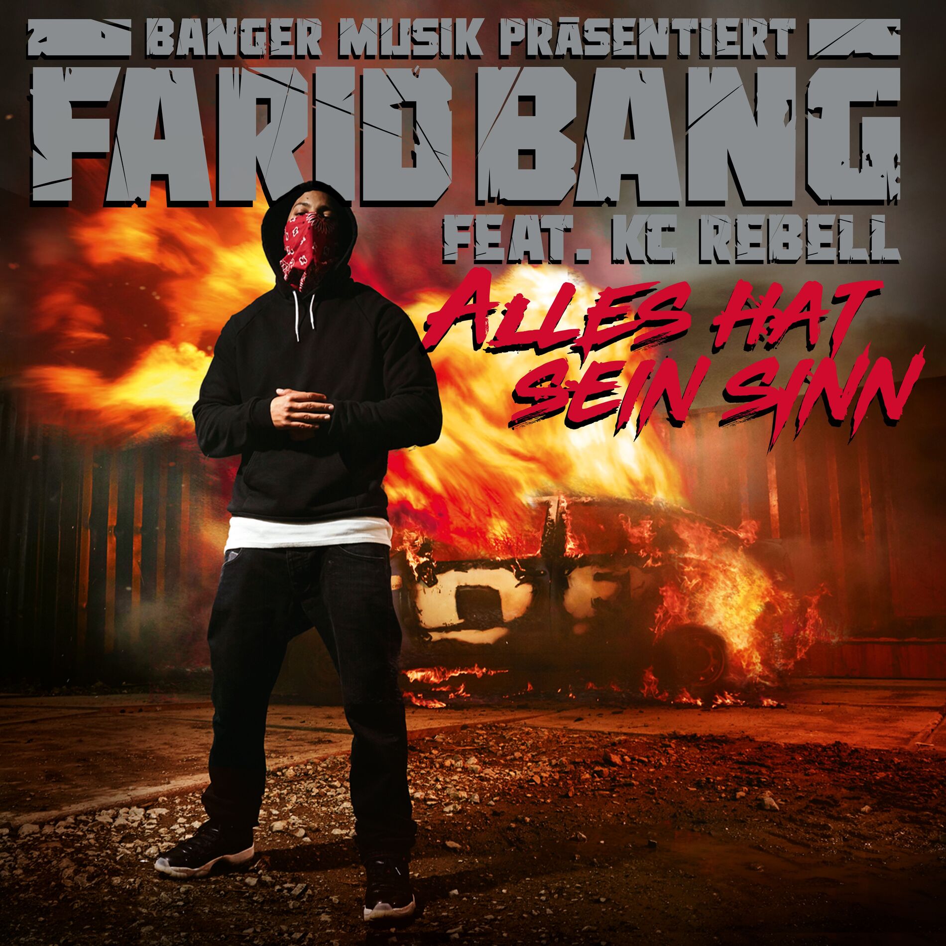 Album cover of Alles hat sein Sinn (feat. KC Rebell)