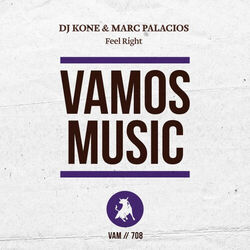 Cover of Feel Right