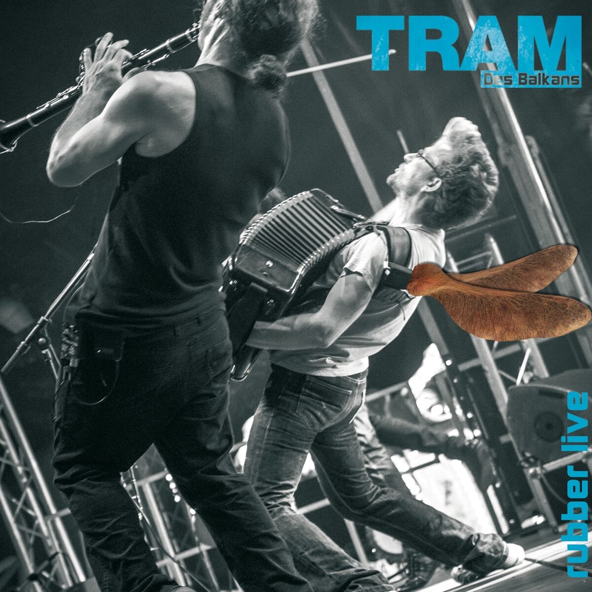 Album cover of Rubber Live