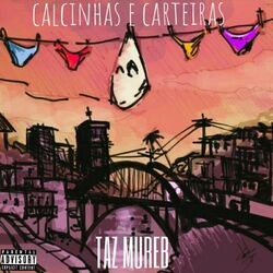 Cover of Calcinhas e Carteiras