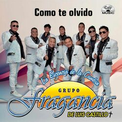 Cover of Como te olvidó (Radio Edit)