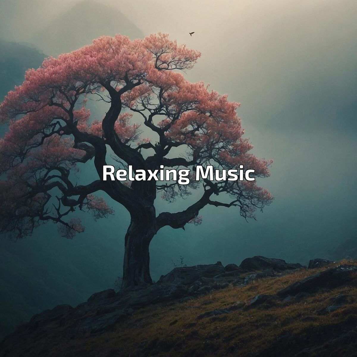 Album cover of Relaxing Music